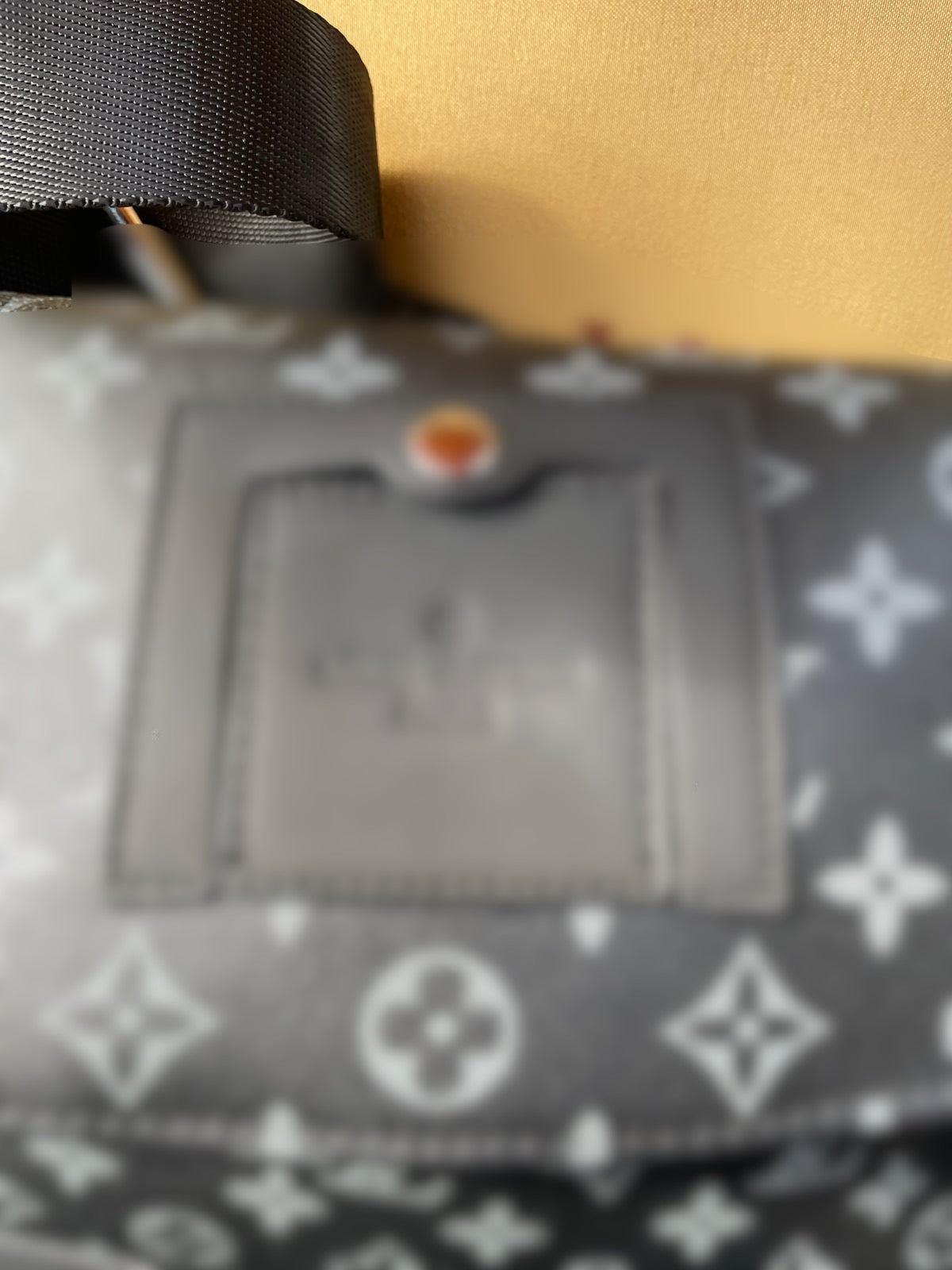 LV Crossbody Bag